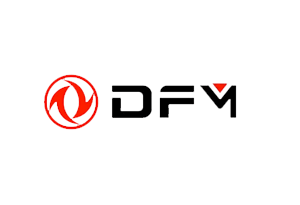 DFM